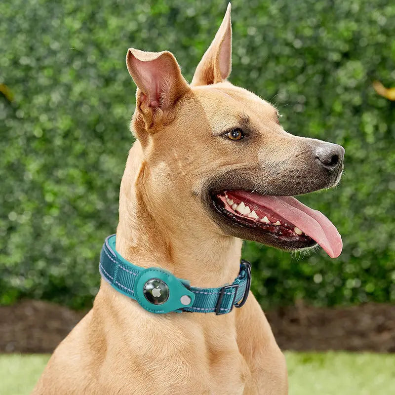 Convenient Tracker Pet Special Collar null