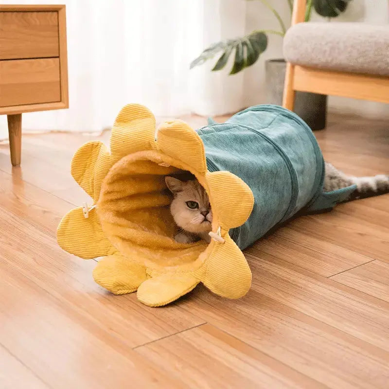 Creative Fruit Pet Cat Tunnel Toy null