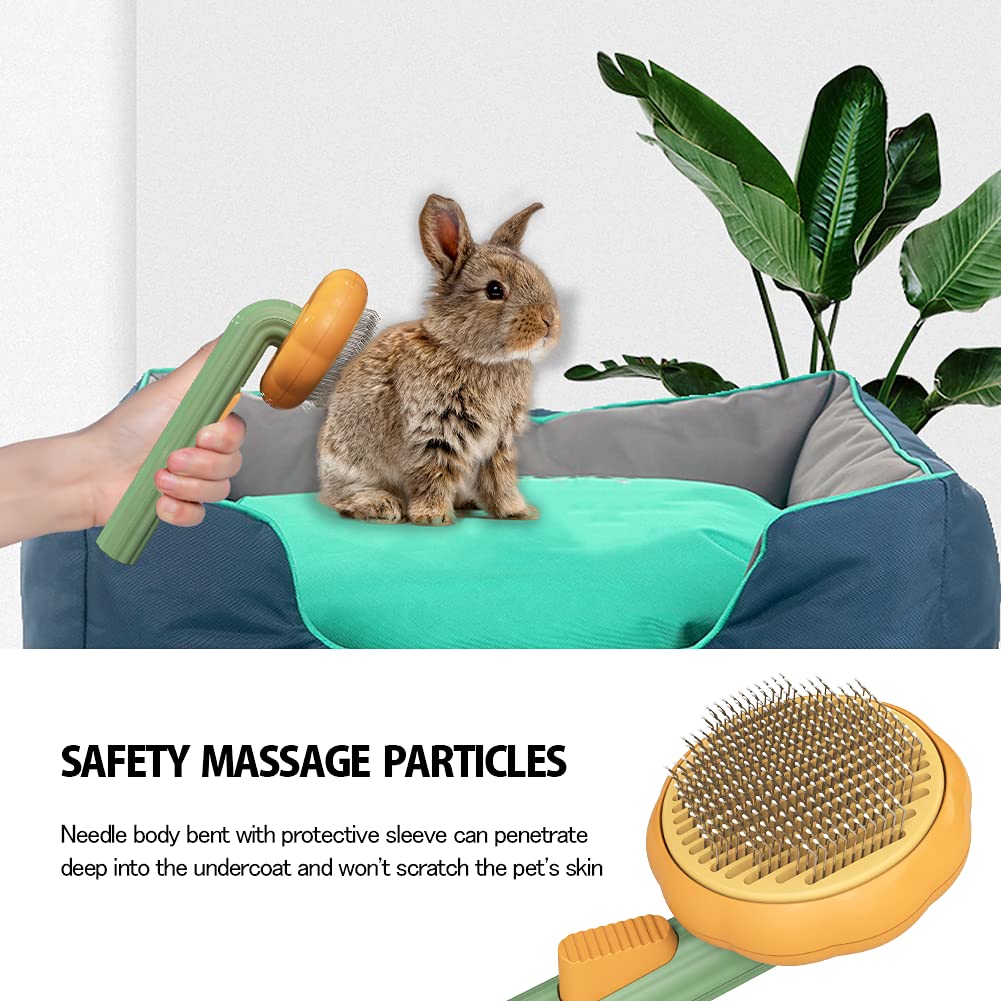 Pet Self Cleaning Pumpkin Brush