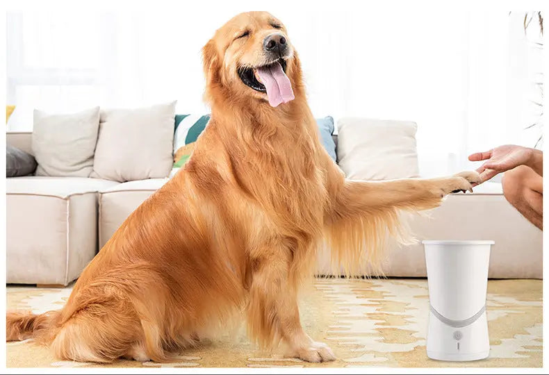 Pet Electric Foot Washer null