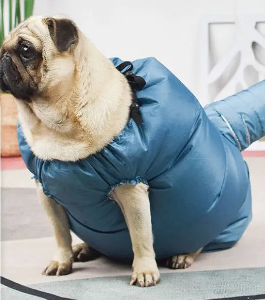 Automatic Drying Bag null