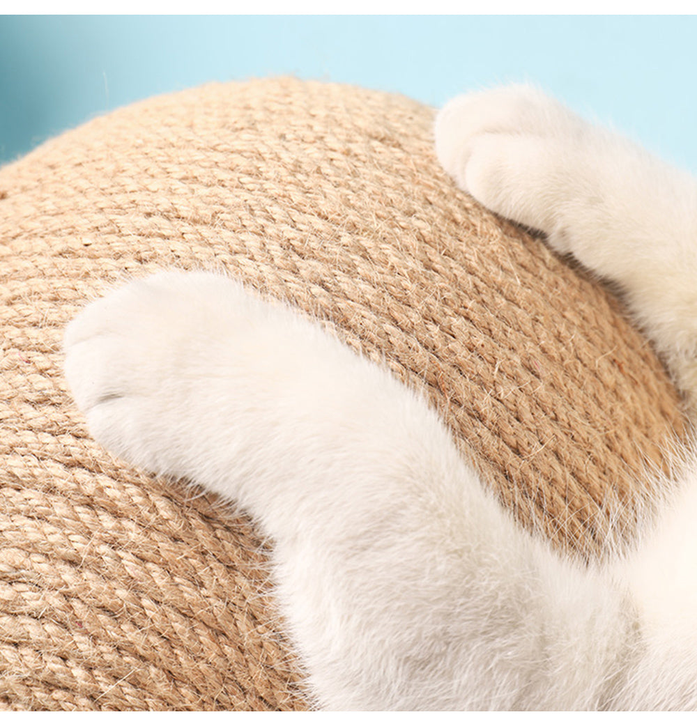 Cat Catching Ball Toy