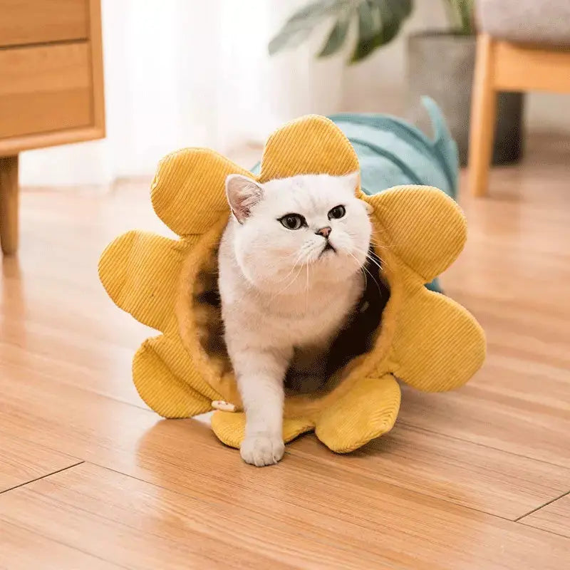 Creative Fruit Pet Cat Tunnel Toy null