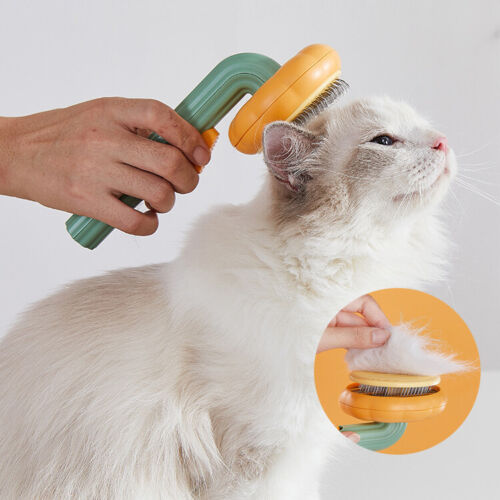 Pet Self Cleaning Pumpkin Brush