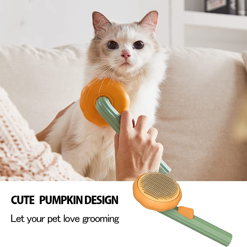 Pet Self Cleaning Pumpkin Brush