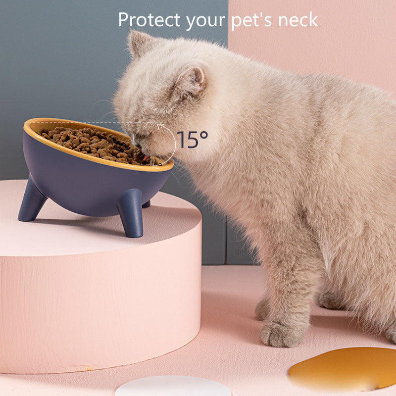 Pet Feeding Food Bowl