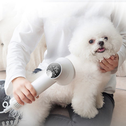 Smart Pet Grooming Blow & Comb