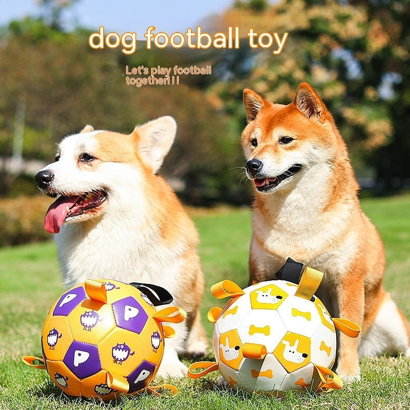 Dog Interactive Football Toy