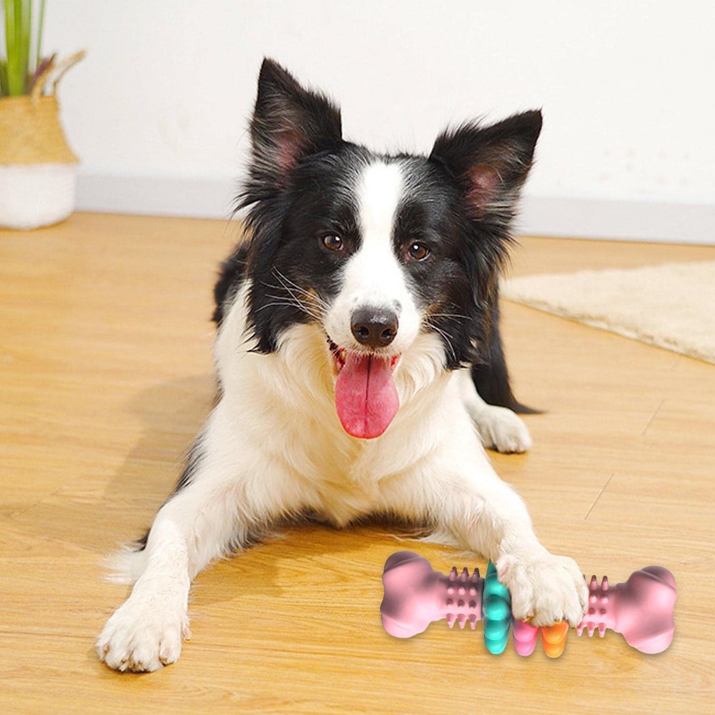 Bone Type Bite Resistant Teething Toy