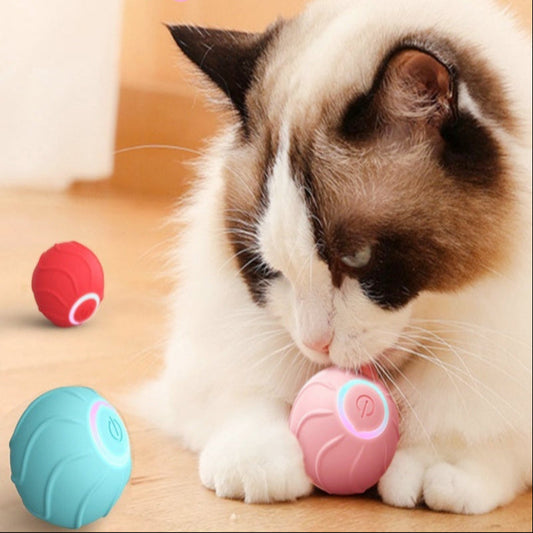 Interactive Smart Rolling Ball Toy