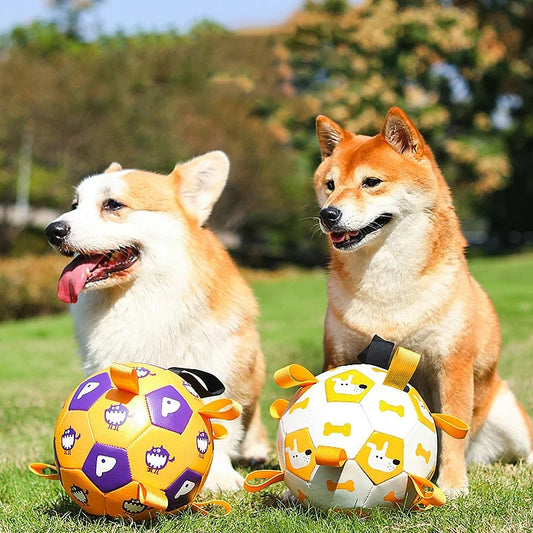 Dog Interactive Football Toy