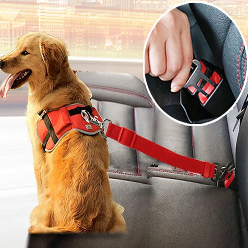Adjustable dog and cat car seat belt with vehicle buckle clip