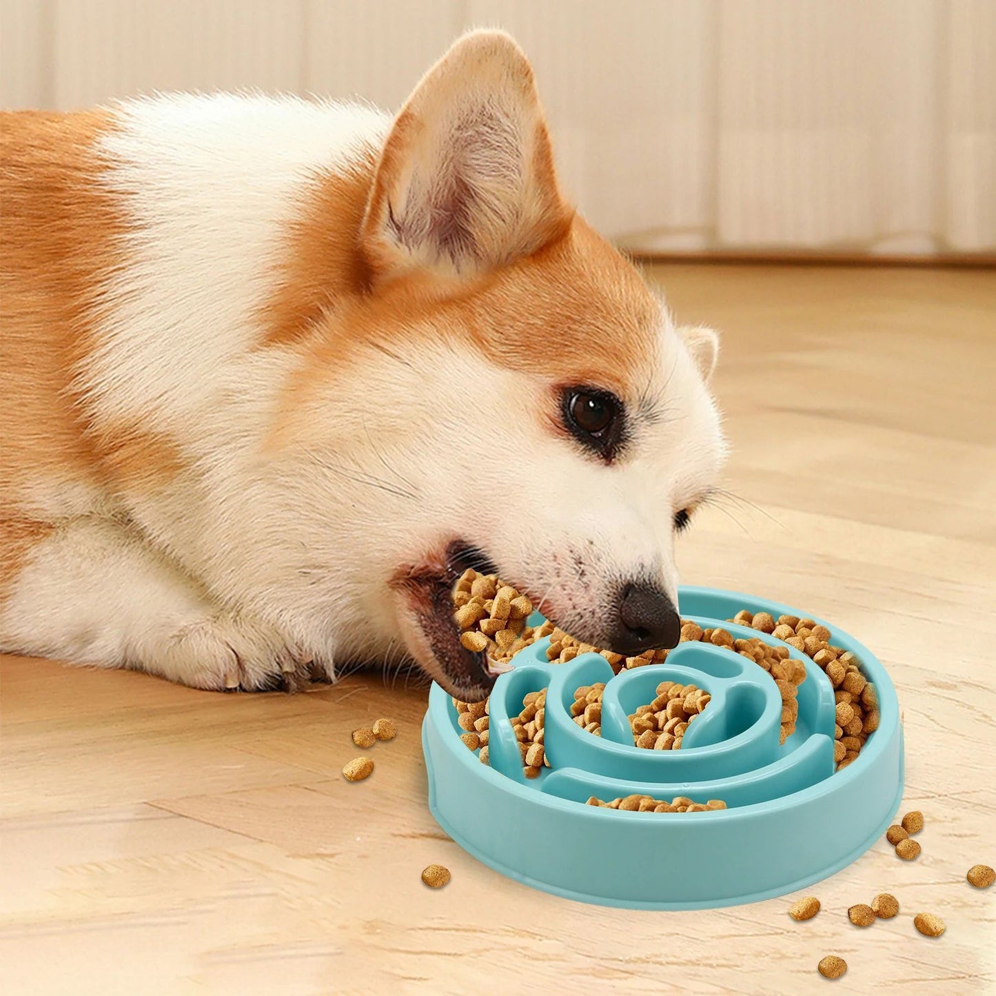 Anti-Gulping Slower Feeding Bowl - Pets Systems 