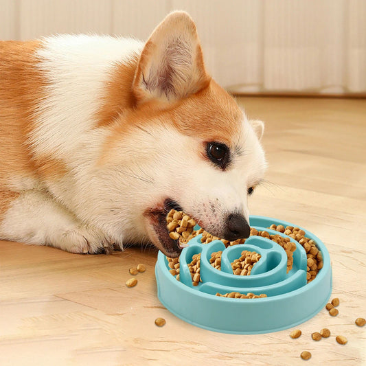 Anti-Gulping Slower Feeding Bowl - Pets Systems 