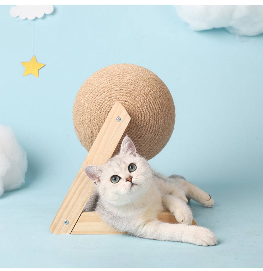 Cat Catching Ball Toy for Interactive Indoor Play