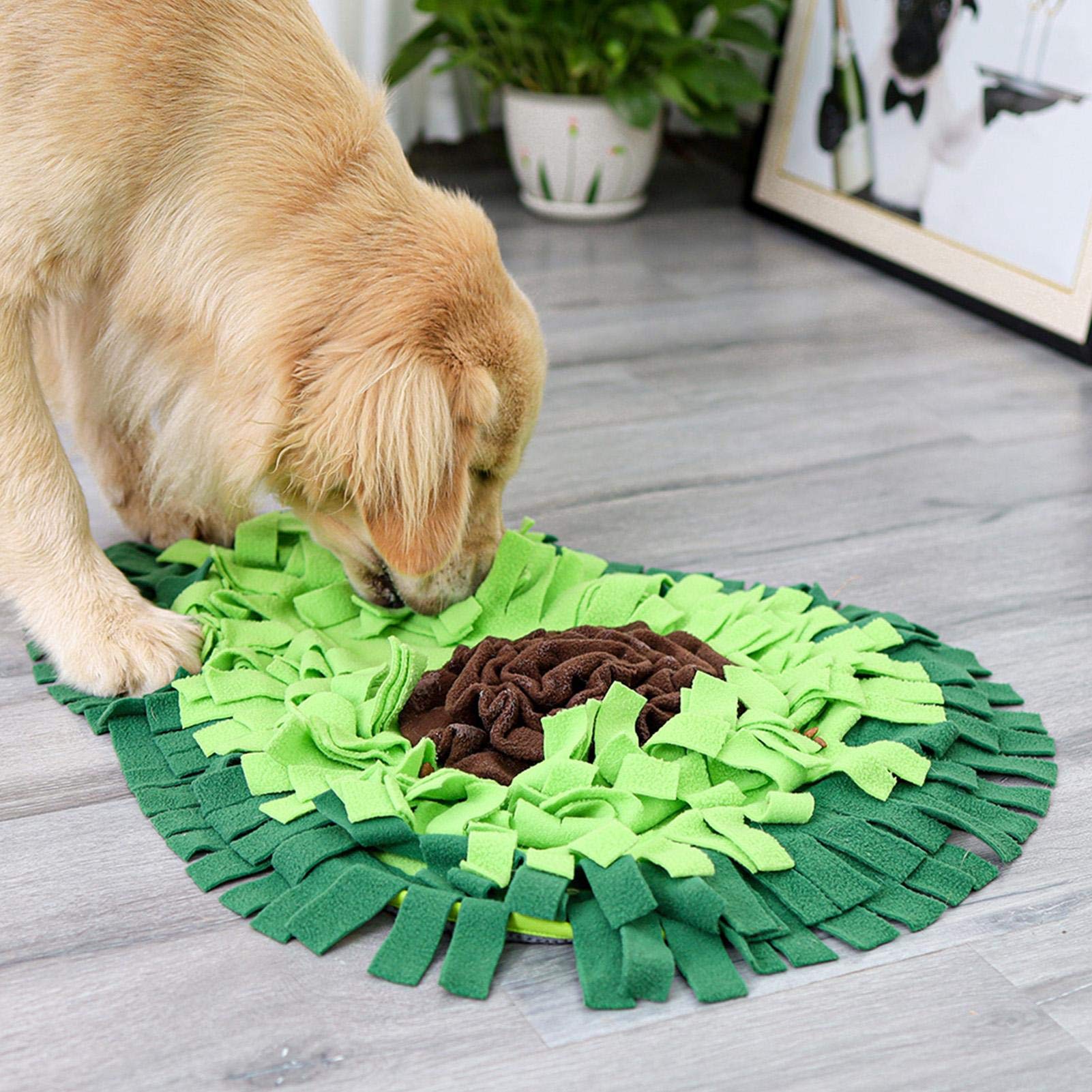 Interactive Dog Sniffing Mat for Mental Stimulation and Slow Feeding