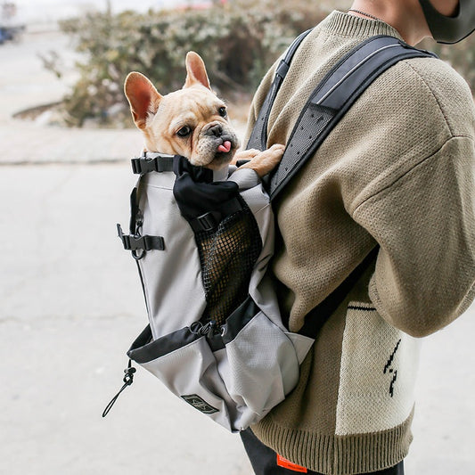 Pet dog carrier backpack for small dogs and puppies