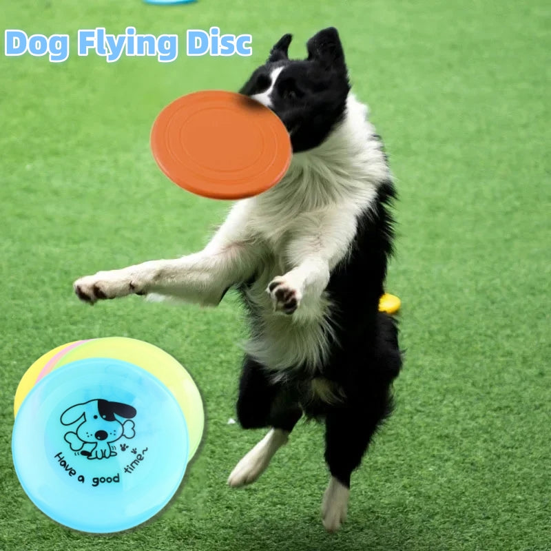 Silicone flying disc dog toy for outdoor fetch and training