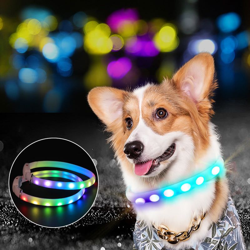 USB Rechargeable LED Glowing Collar - Pets Systems 