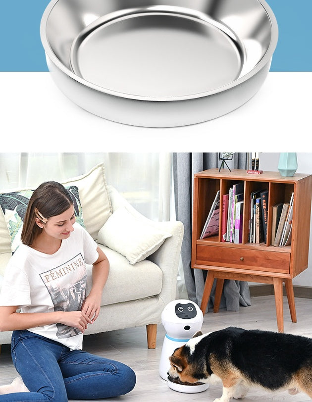 automatic pet feeder dispensing food for dog