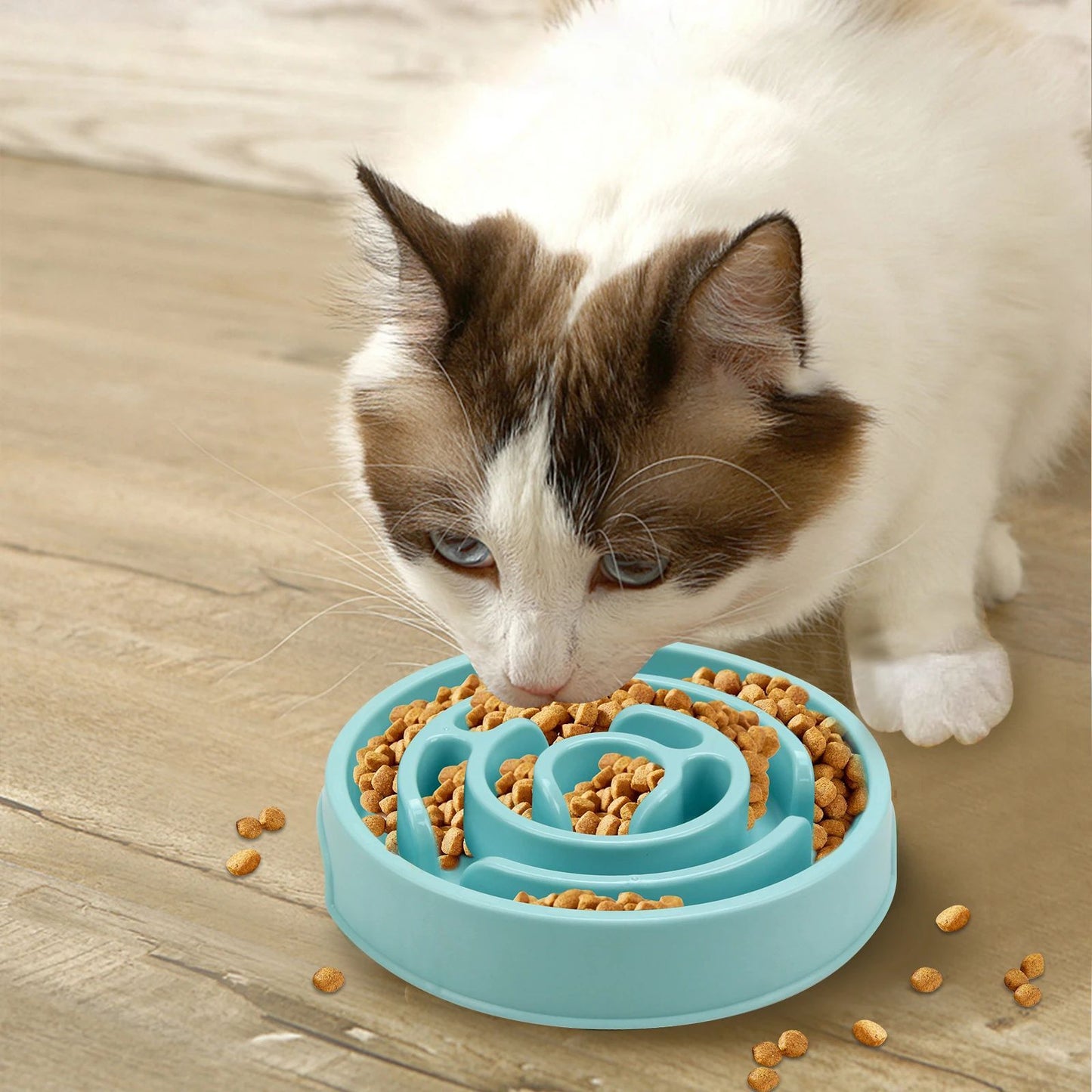 Anti-Gulping Slower Feeding Bowl