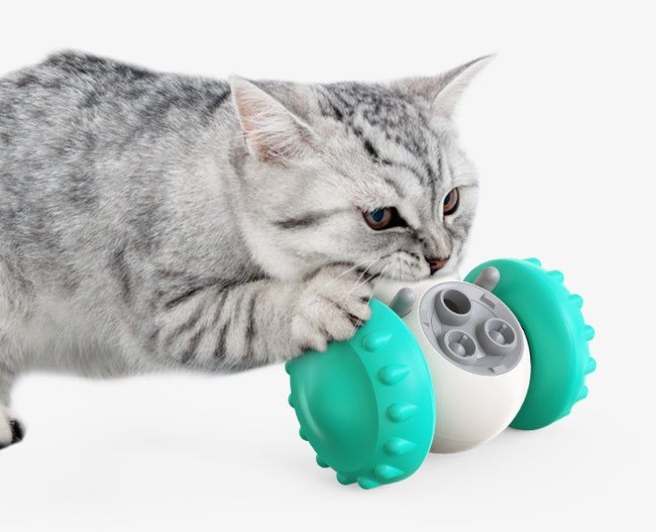 balance car pet toy