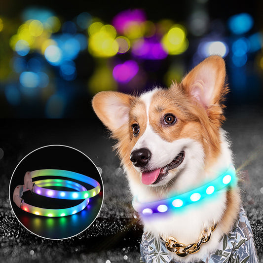 USB Rechargeable LED Glowing Collar