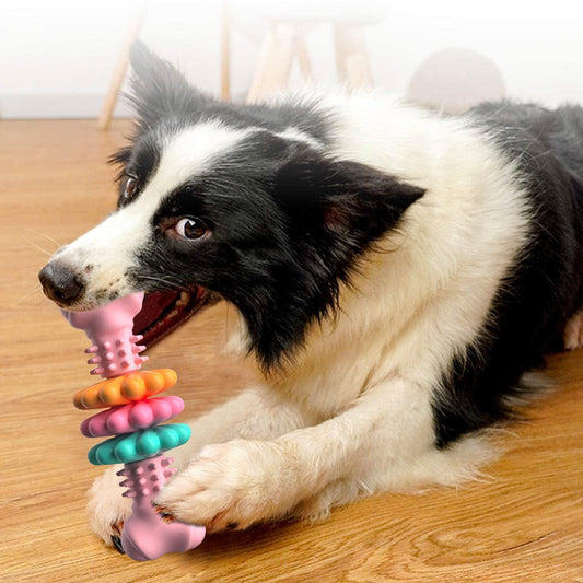 Bone Type Bite Resistant Teething Toy