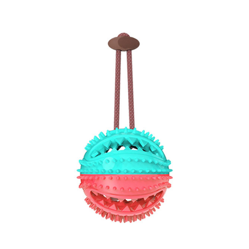 dog chew toy