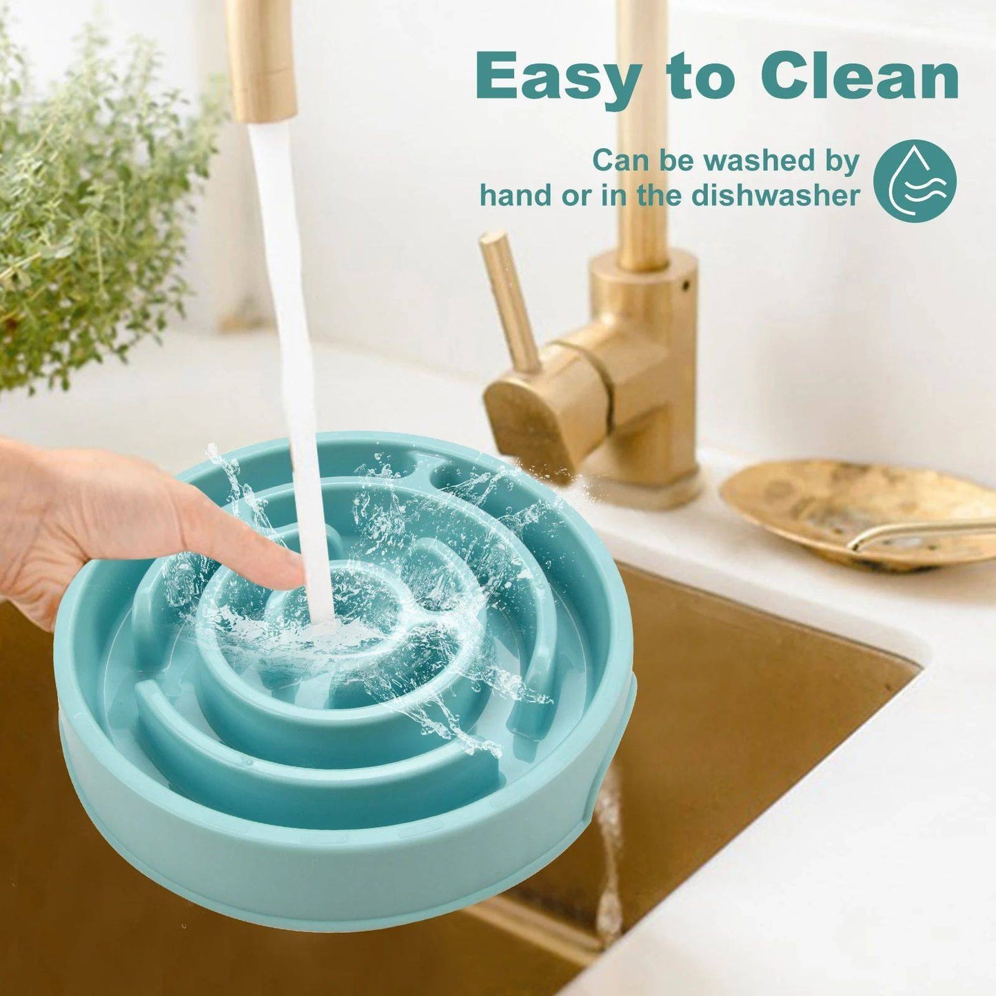 dog digestion bowl