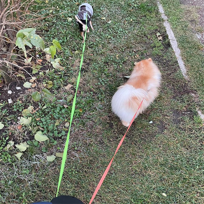 dog leash adjustable