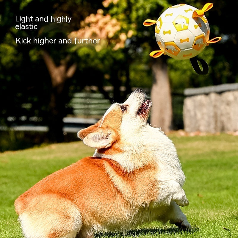 Dog Interactive Football Toy