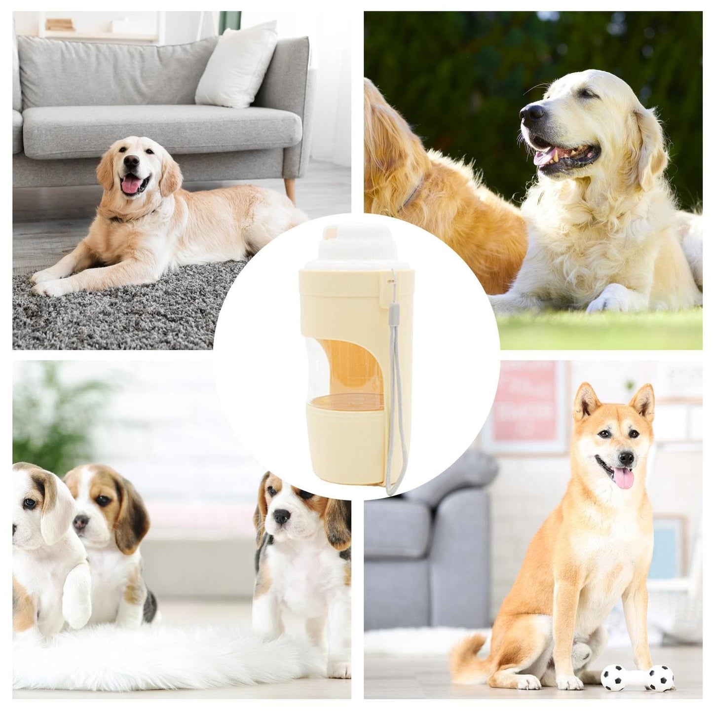 2-in-1 Travel Dog Water Bottle