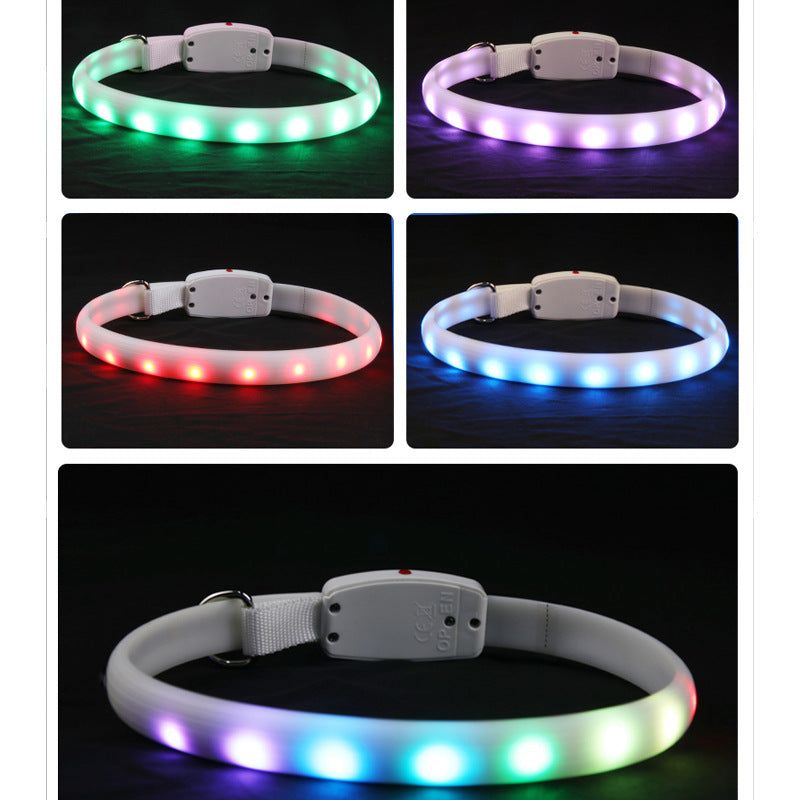 glowing pet collar