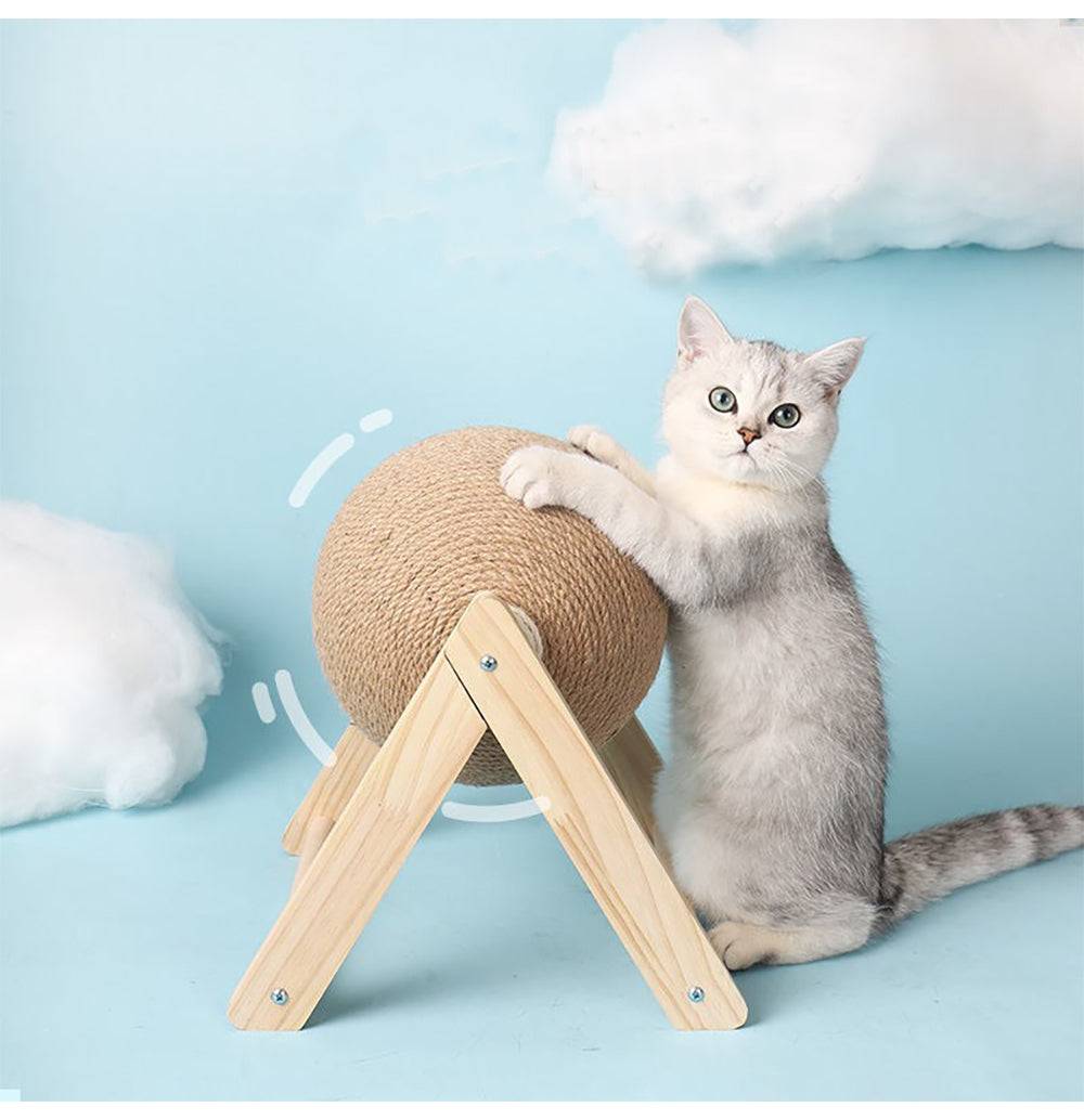 indoor cat exercise toy