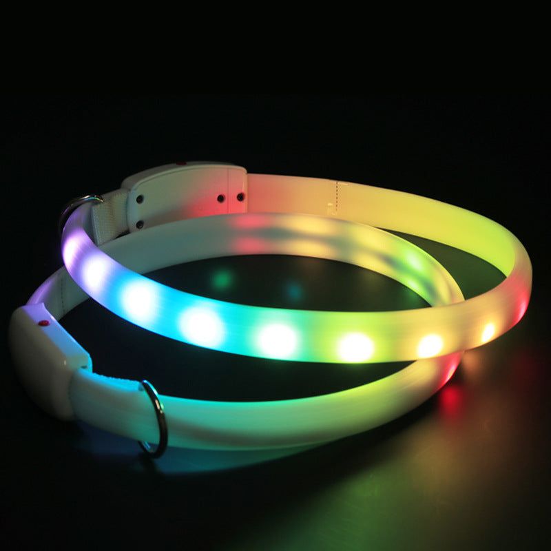 led dog collar