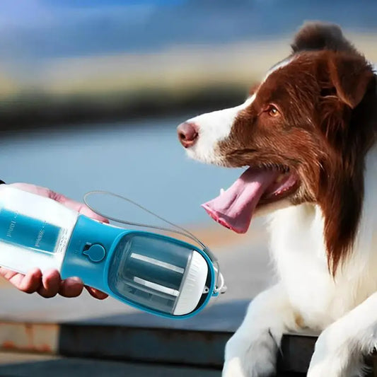 portable pet water bottle