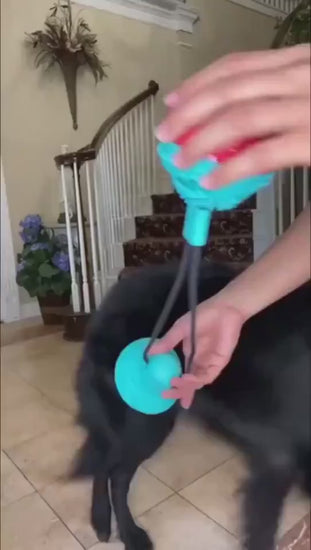 Interactive enrichment toy for dogs