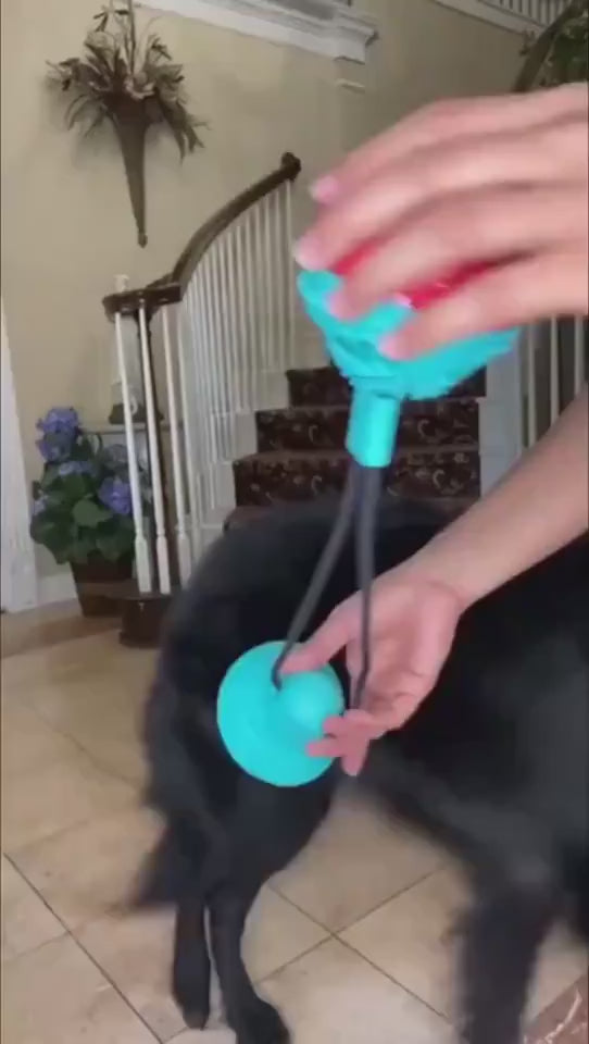 Interactive enrichment toy for dogs