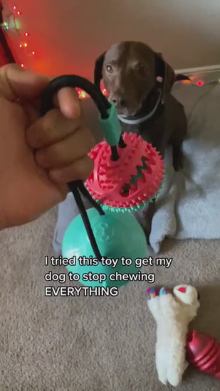 dog boredom relief
