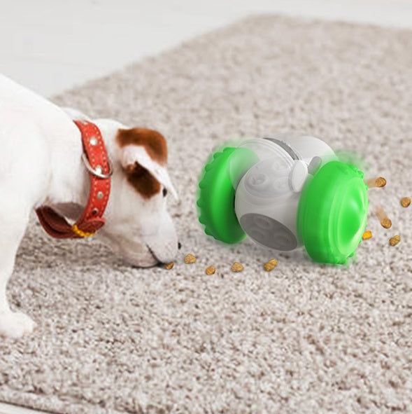 slow feeding dog toy